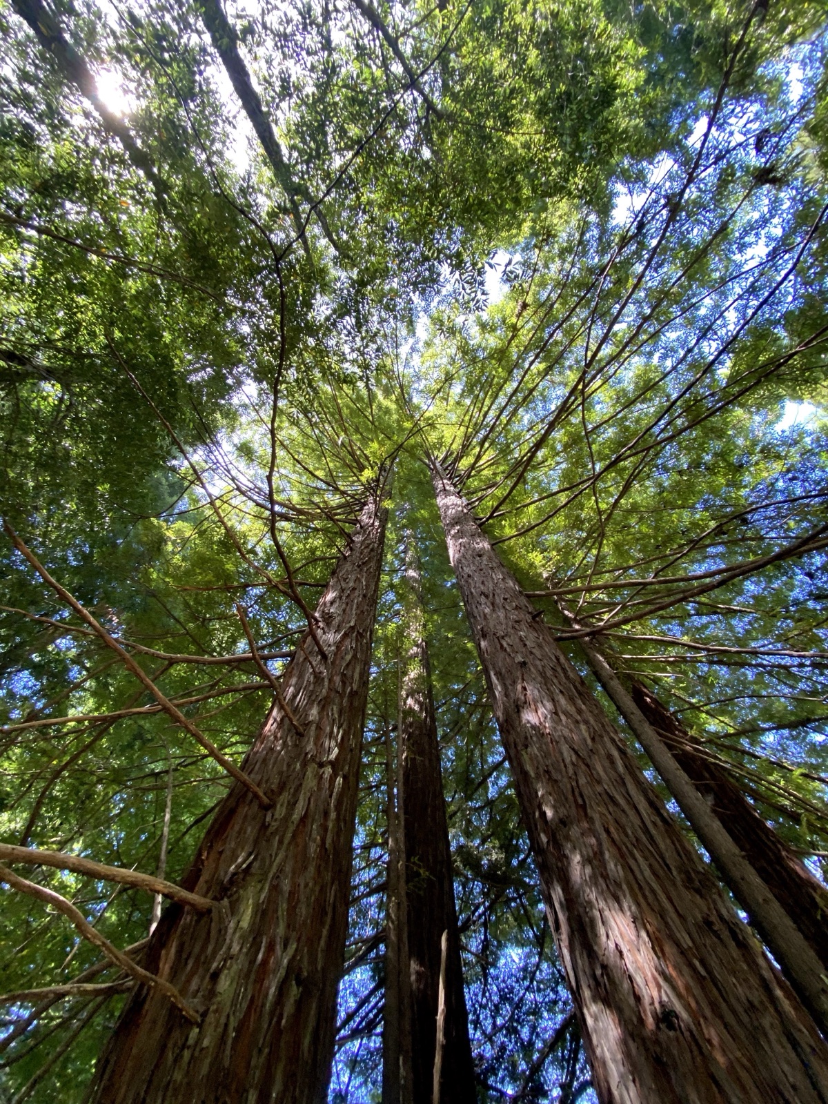 The river at Oronovo